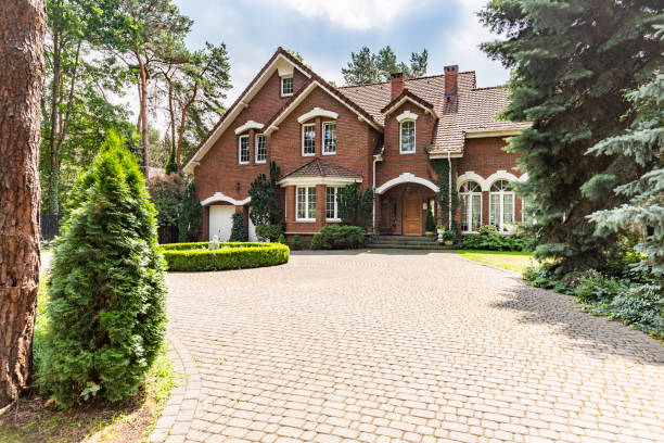 Best Driveway Paving Contractor  in Morton, TX